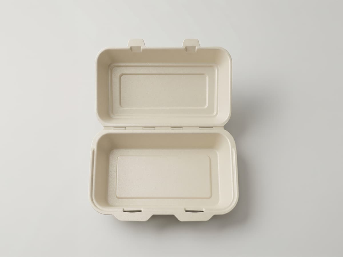 Rectangular food container, open