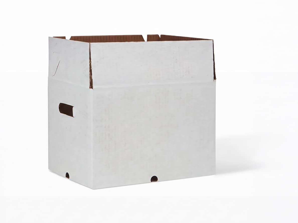 Cardboard box for vegetables
